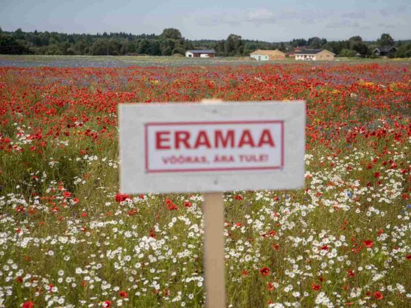 Kirevatest p&otilde;lluservadest munade v&auml;rvimiseni