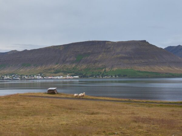 Kuidas turundada &ouml;koloogilist katastroofi