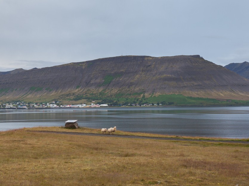 Kuidas turundada ökoloogilist katastroofi