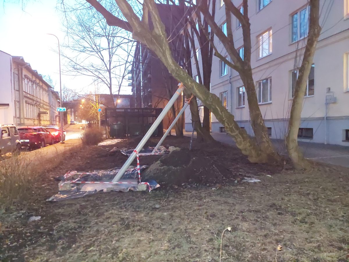 Ohtlik puu. Mis on lubatud bemmile, pole lubatud tammele