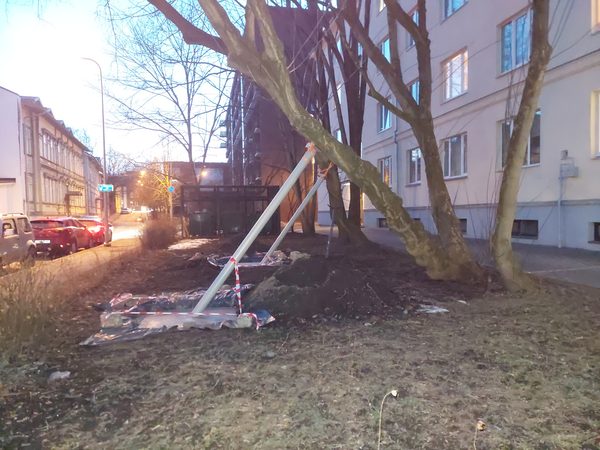 Ohtlik puu. Mis on lubatud bemmile, pole lubatud tammele